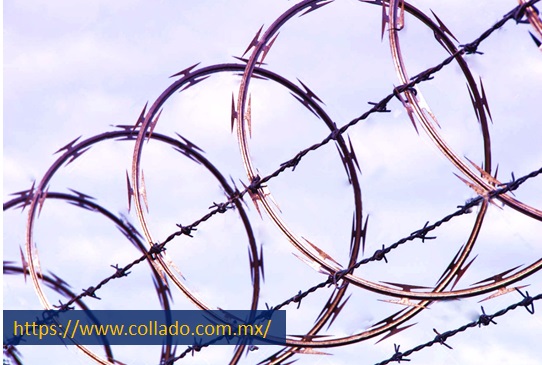 https://www.collado.com.mx | Grupo Collado S.A. de C.V.